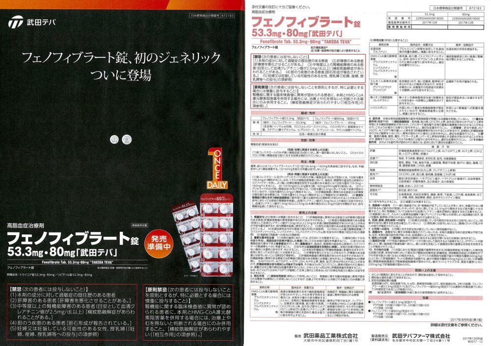 フェノフィブラート ルグラン リーフレット